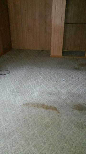 505 Panbowl Branch Road Jackson, KY 41339 - Photo 3 of 6 Photo 3
