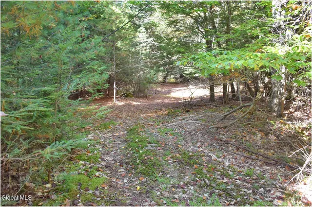 $83,500 | 38 Granite Ridge Road, Chester, NY 12817