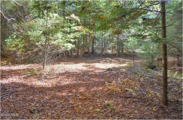$83,500 | 38 Granite Ridge Road, Chester, NY 12817