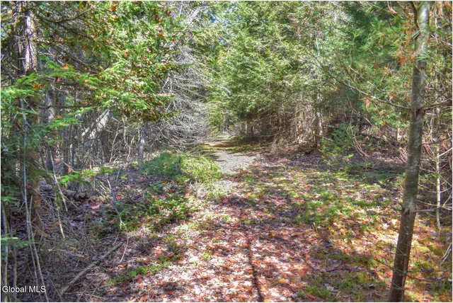 $83,500 | 38 Granite Ridge Road, Chester, NY 12817