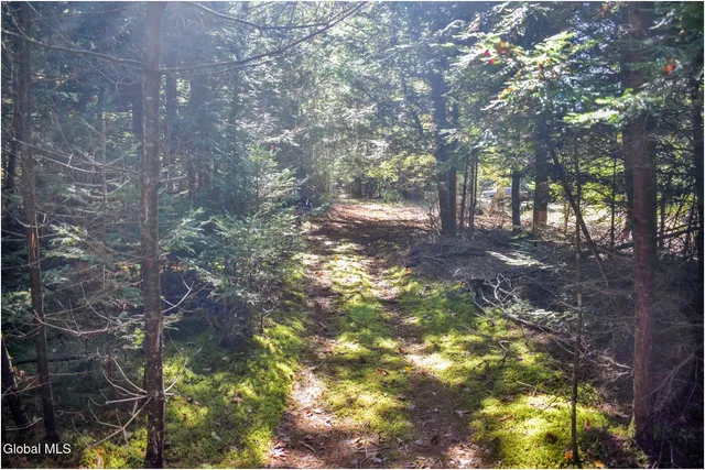 $83,500 | 38 Granite Ridge Road, Chester, NY 12817