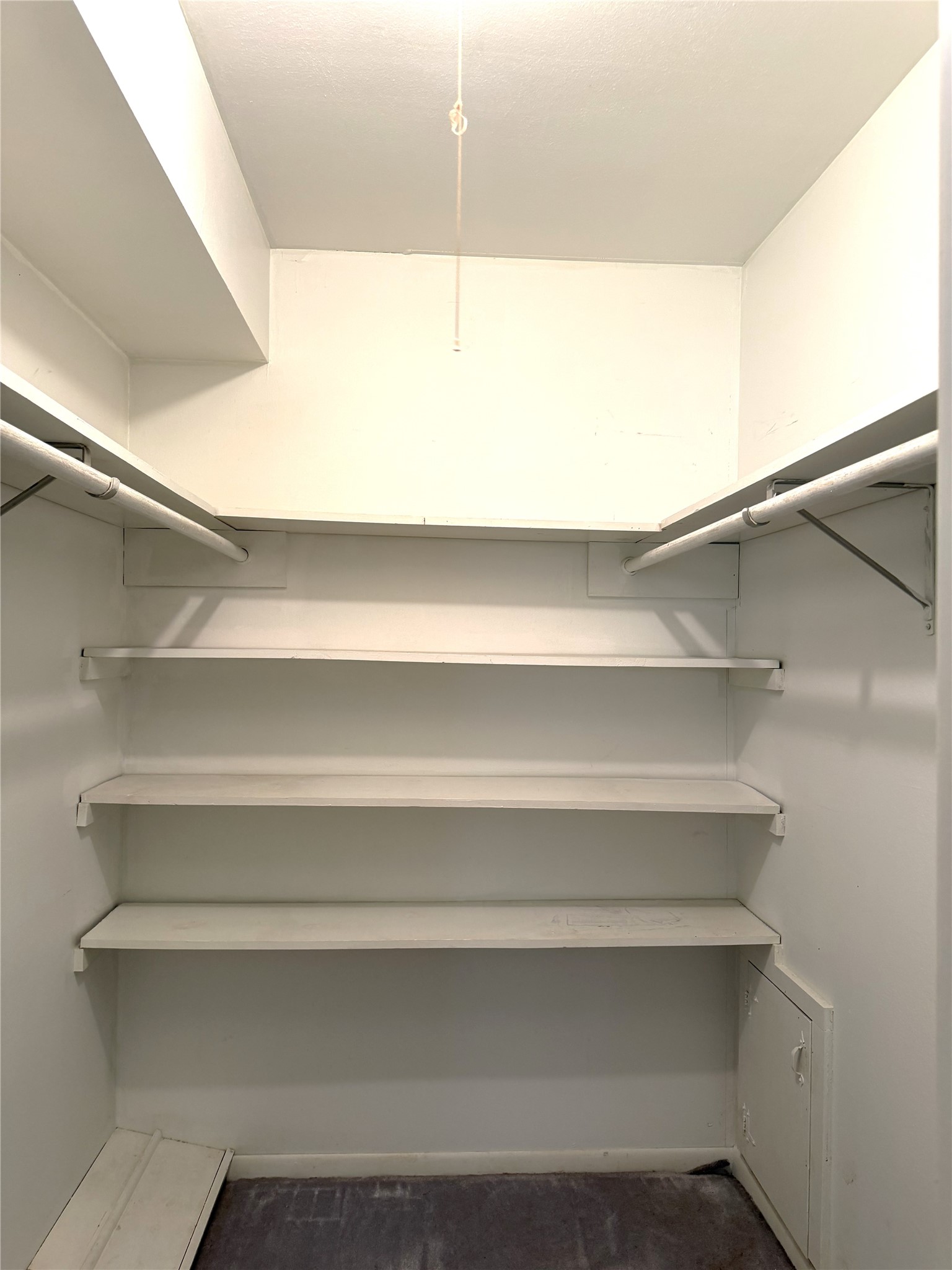 1036 8th Street Hempstead, TX 77445 - Photo 14 of 27 primary walk in closet
