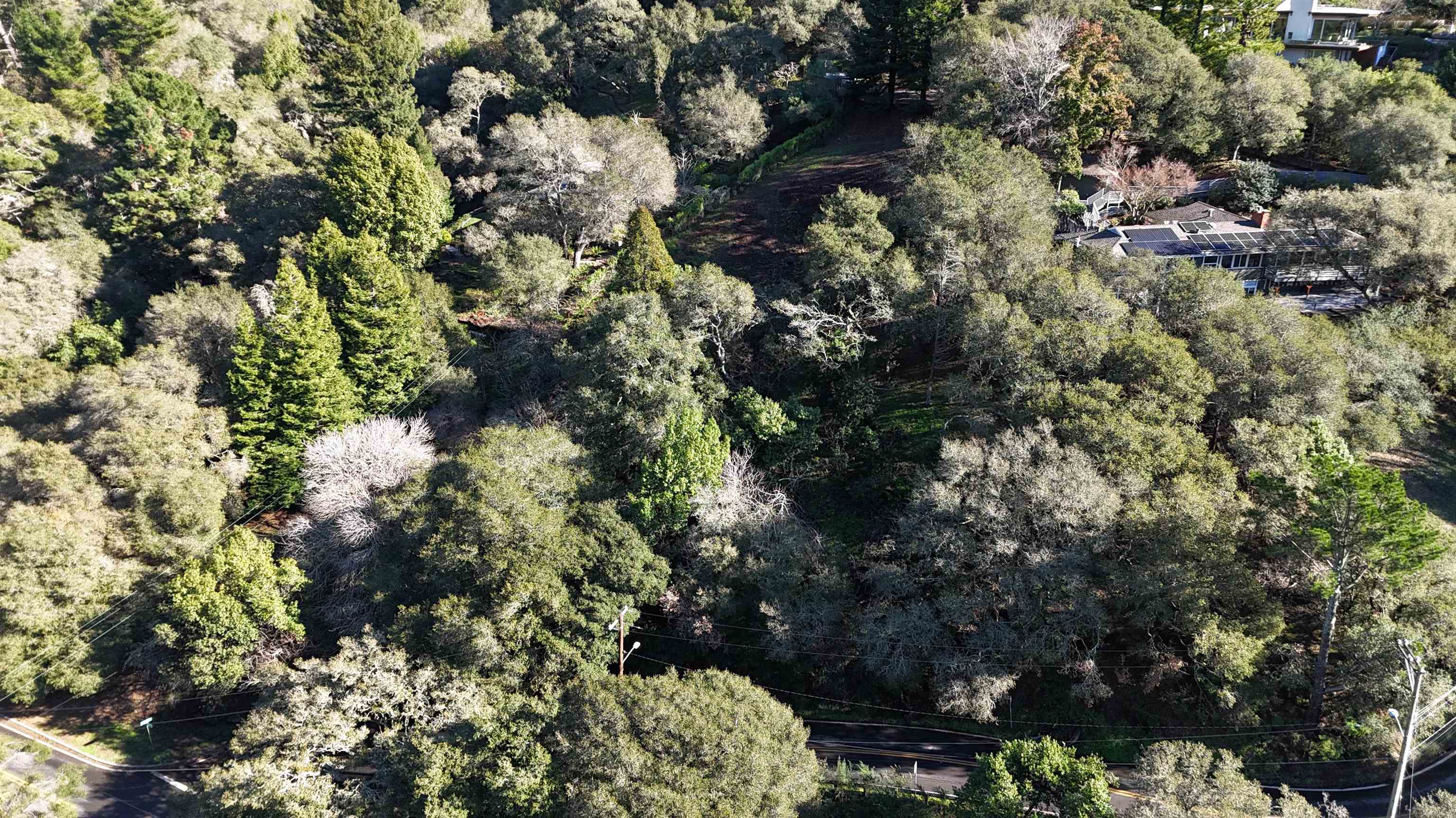 1488 Alvarado Road Berkeley, CA 94705 - Photo 3 of 8