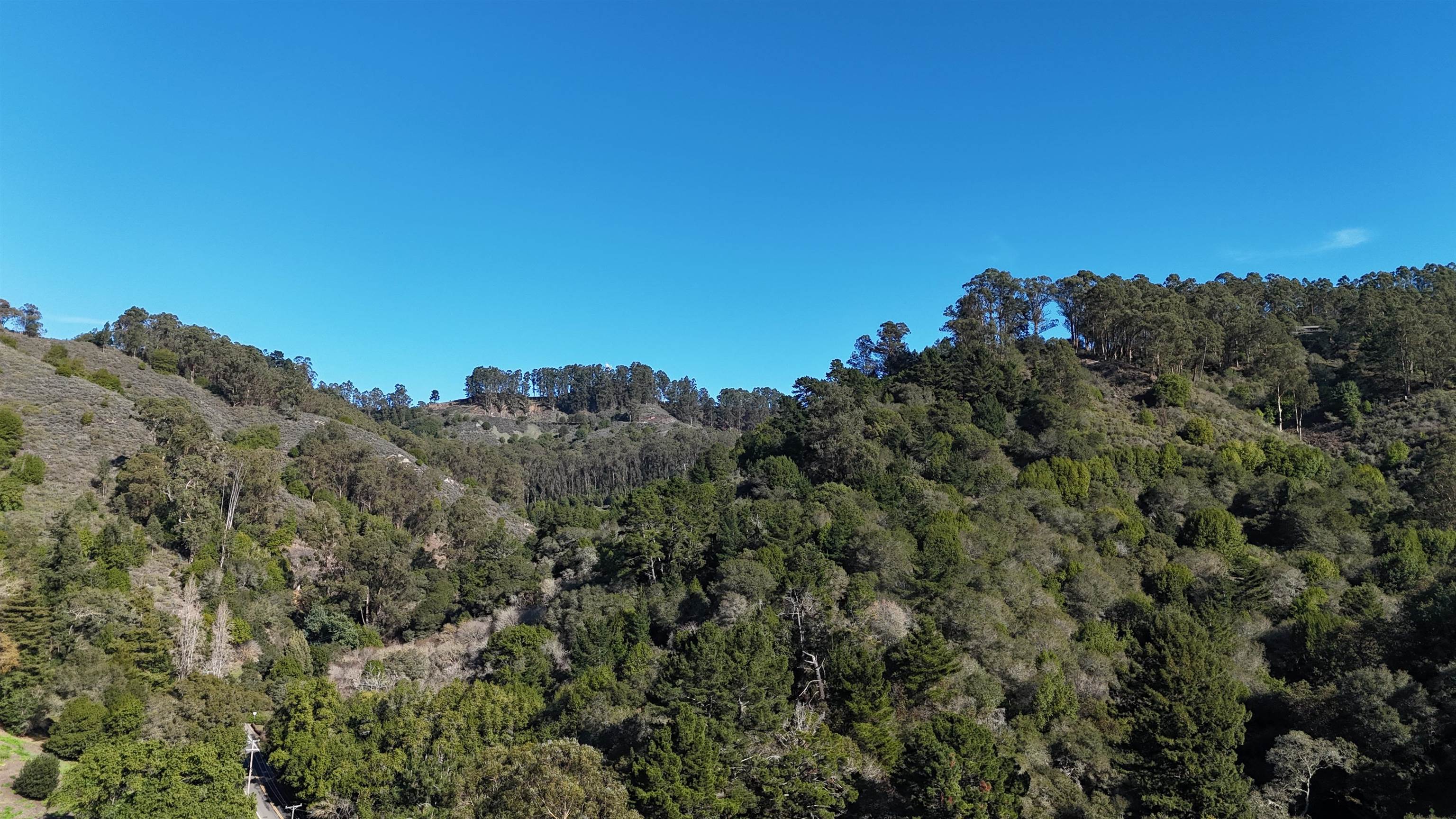 1488 Alvarado Road Berkeley, CA 94705 - Photo 6 of 8