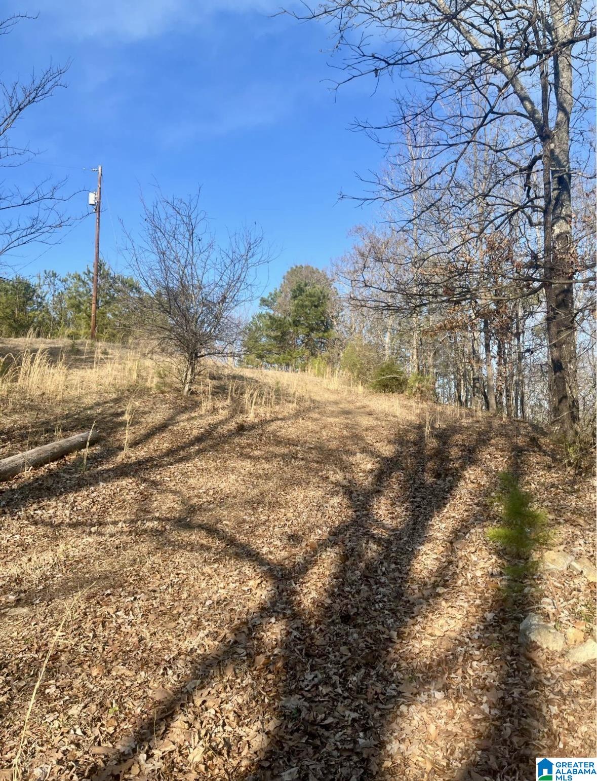 0 Blue Ridge Drive Talladega, AL 35160 - Photo 7 of 14