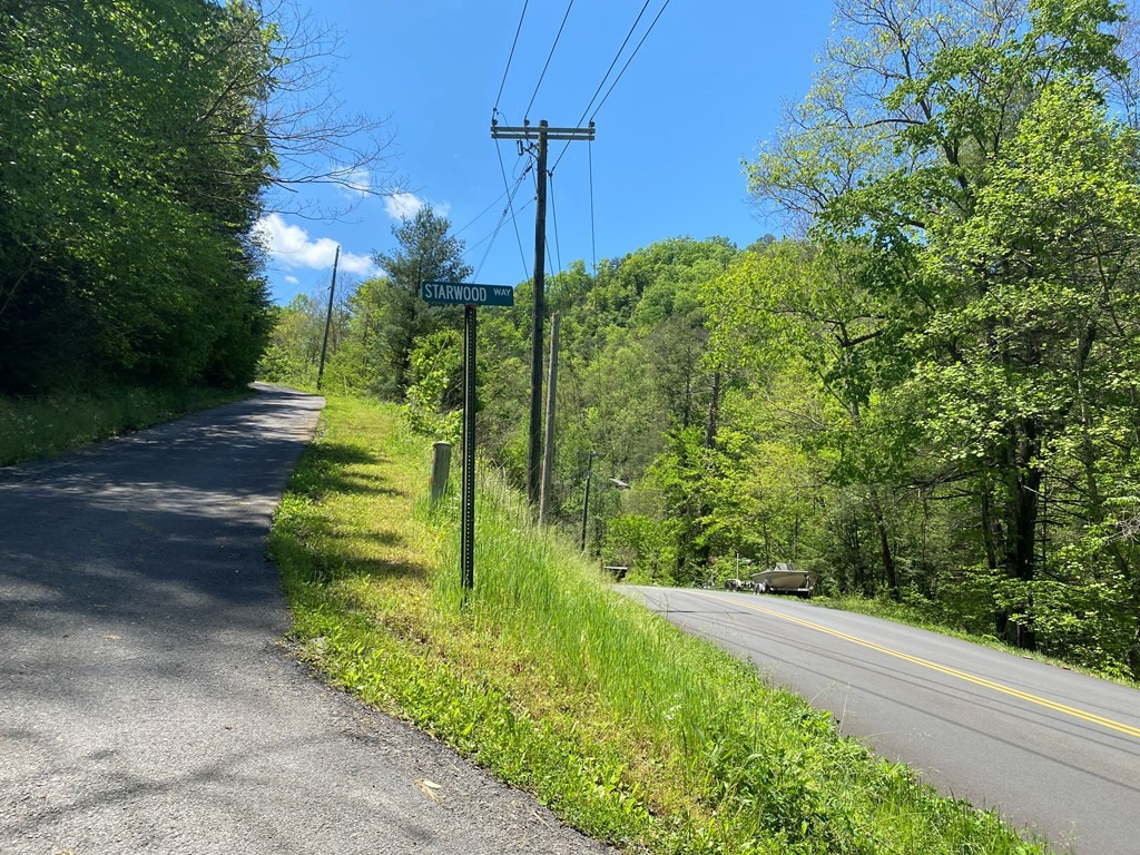 0 Little Cove Road Sevierville, TN 37862 - Photo 4 of 4