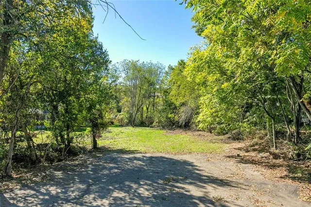a view of a trees with a yard