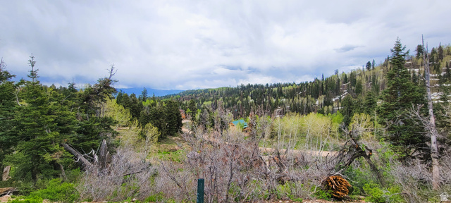 1920 Elk Road, Unit 78 Coalville, UT 84017 - Photo 13 of 23 View of tree filled area