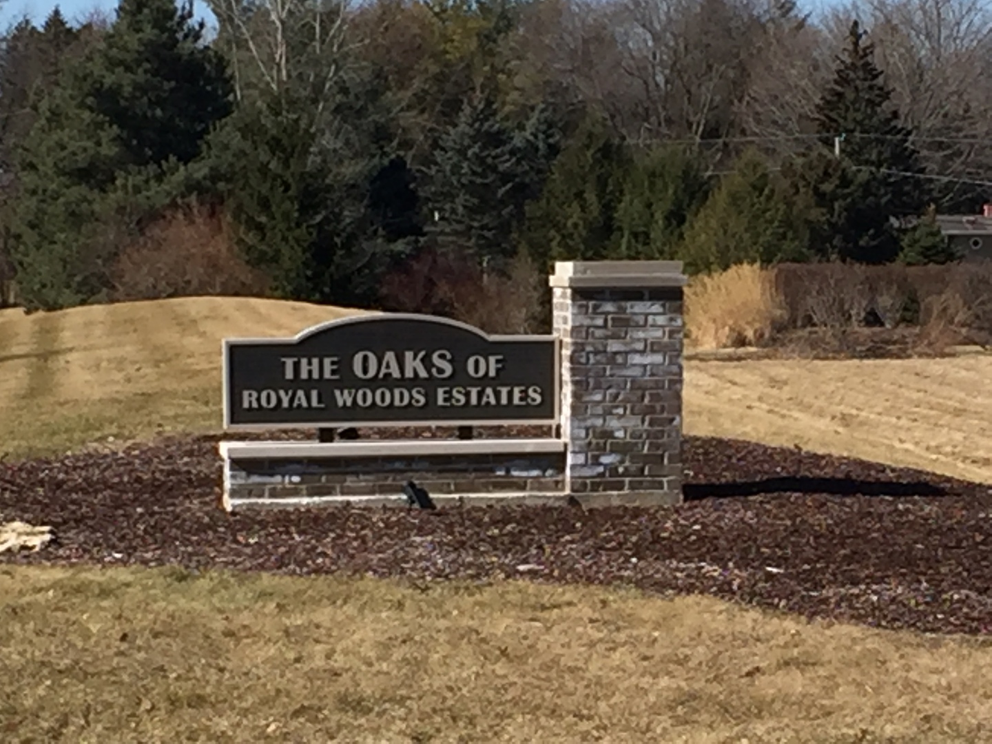 a view of a park that has a sign on the side of the road