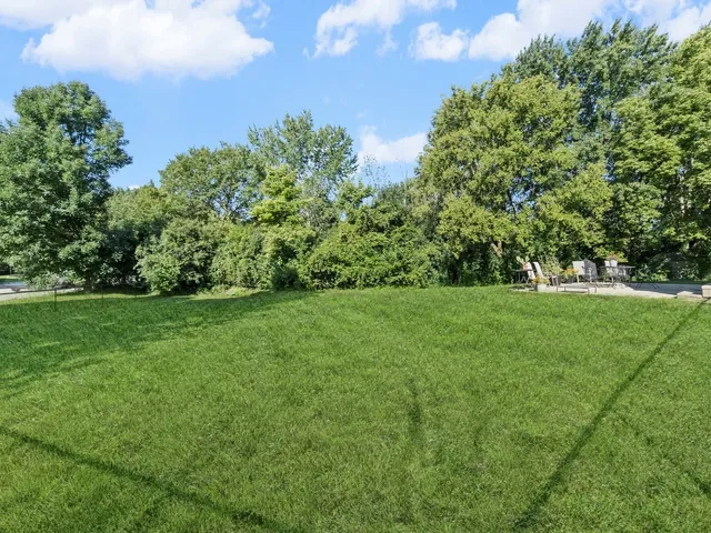 a view of yard with green space