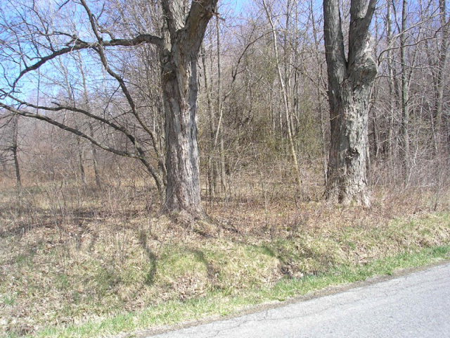 West State Road Jamestown, PA 16134 - Photo 1 of 1 a backyard of a house with lots of green space