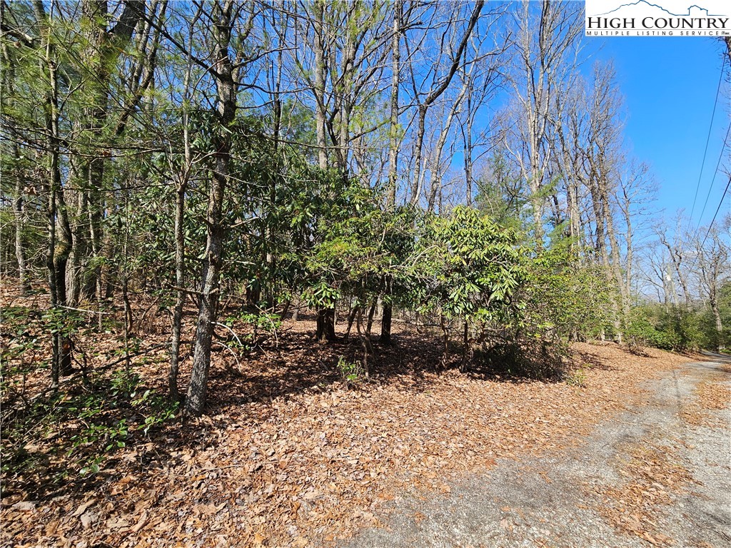 Mount Retreat Road Glade Valley, NC 28627 - Photo 2 of 16 a view of a pathway both side of house