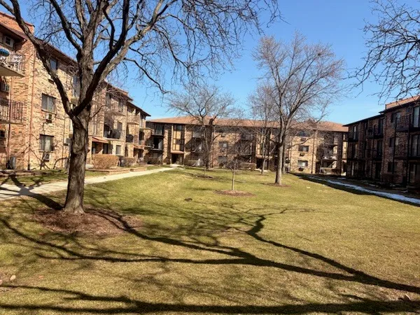 a view of a yard with trees