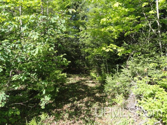 27348 Ford Road Covington, MI 49919 - Photo 31 of 36