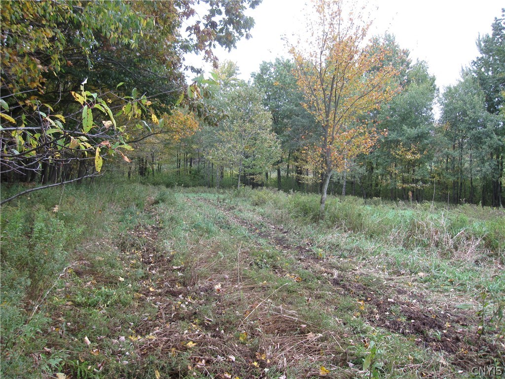 0 Mumbulo Road New Berlin, NY 13411 - Photo 3 of 6 Gallery Image 3
