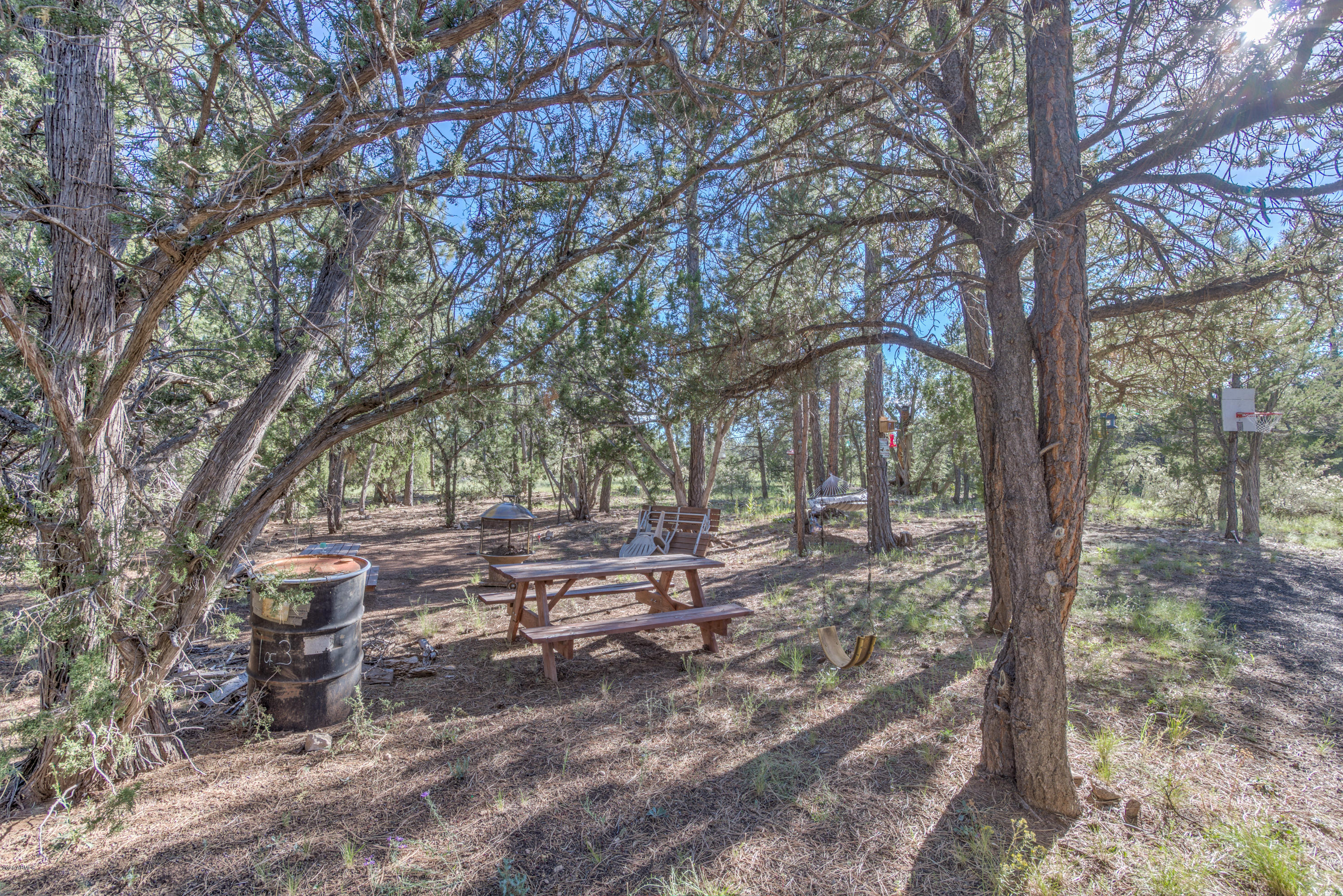 2940 Buckskin Road Overgaard, AZ 85933 - Photo 6 of 22 Exterior Lot