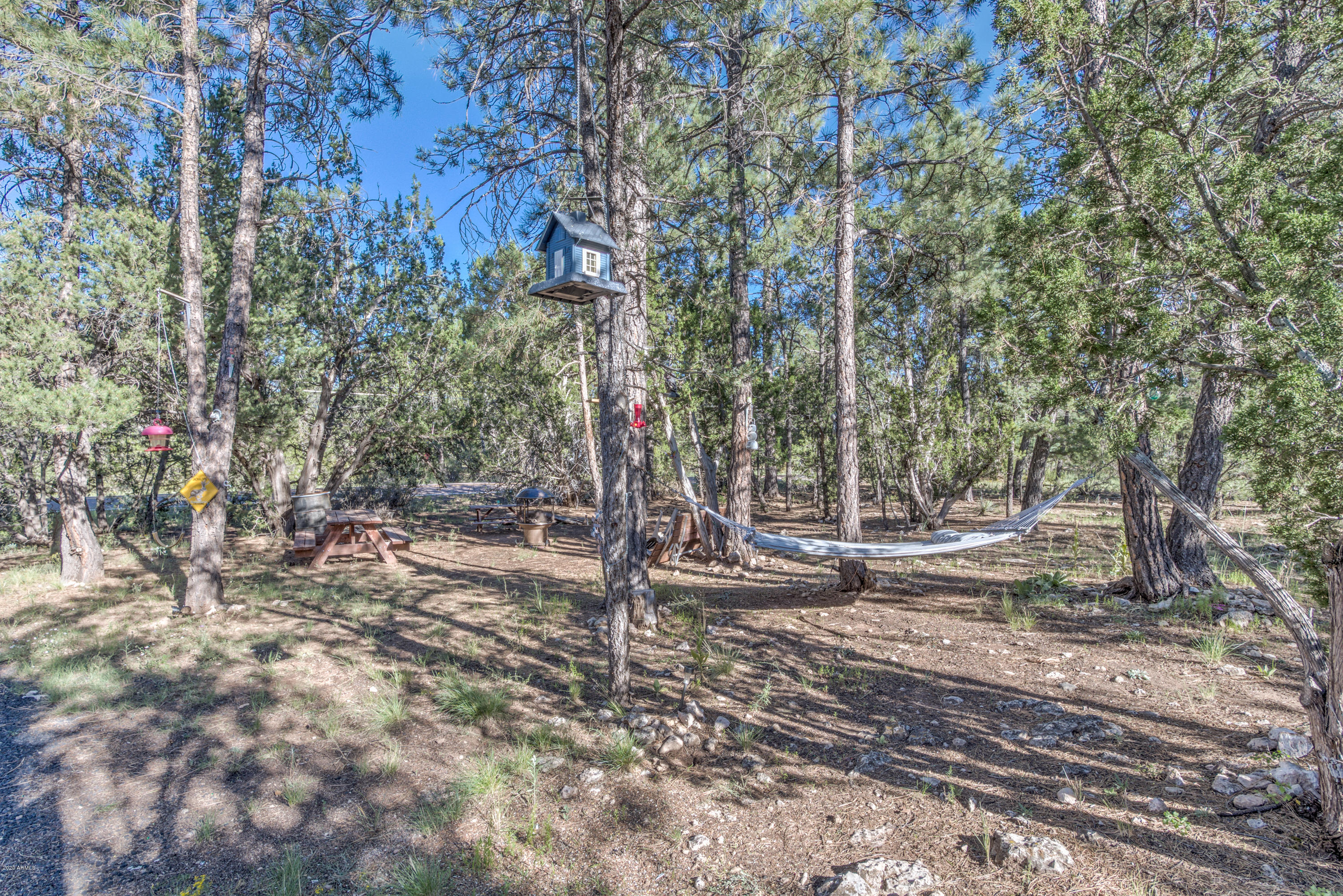 2940 Buckskin Road Overgaard, AZ 85933 - Photo 8 of 22 Lot