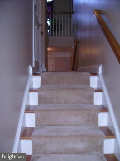 848 West Glebe Road Alexandria, VA 22305 - Photo 8 of 18 a view of staircase with white walls