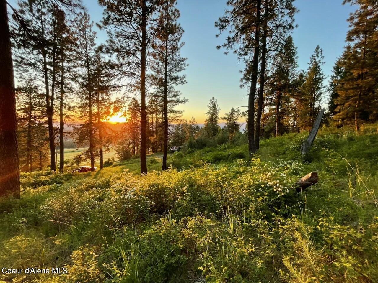 2276 Big Rock Road Post Falls, ID 83854 - Photo 1 of 28 8A0196E4-2DFE-441F-B81E-2394B75315D5