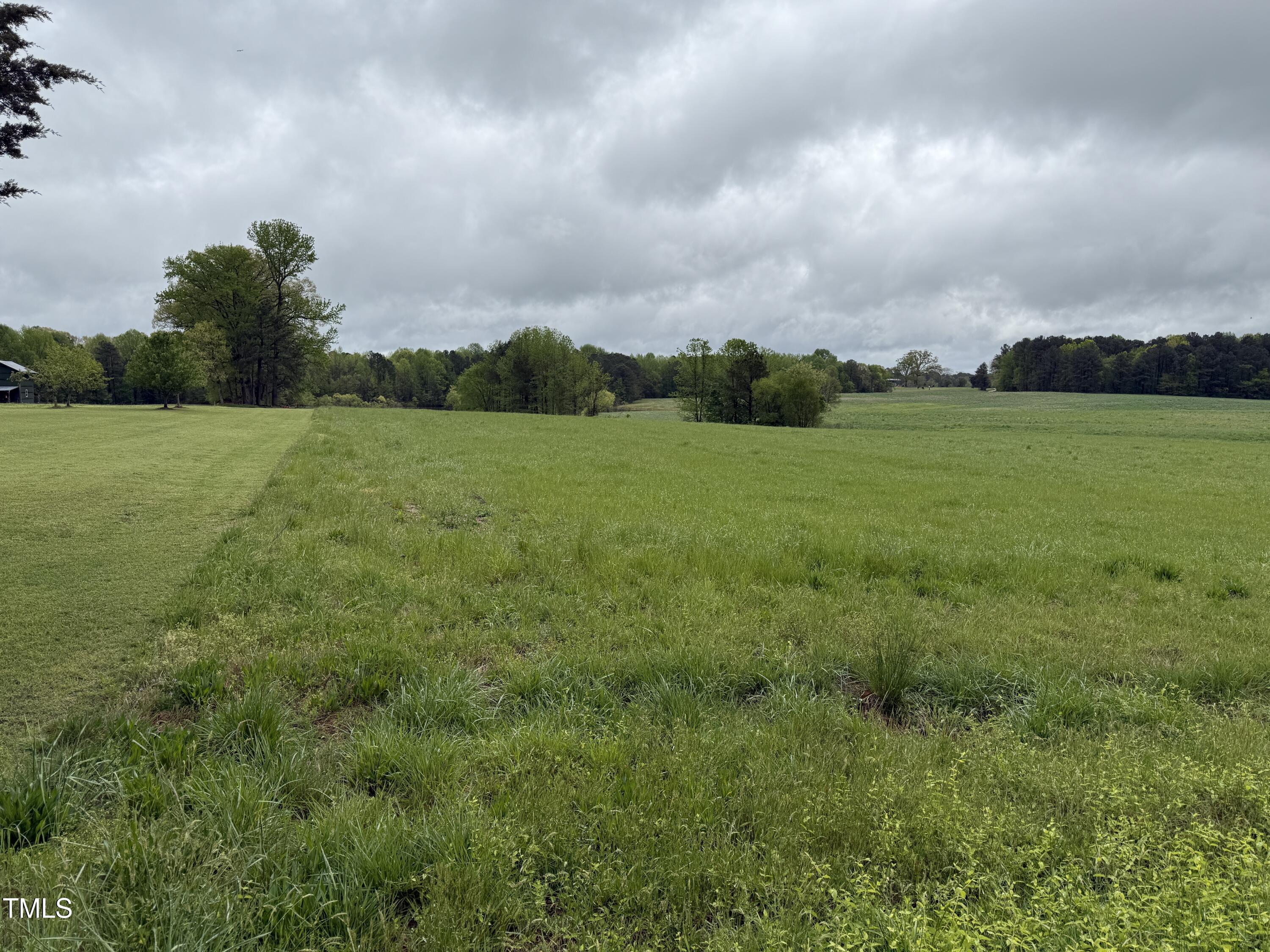 0 Stallings Mill Road Castalia, NC 27816 - Photo 11 of 19 a view of an outdoor space and yard