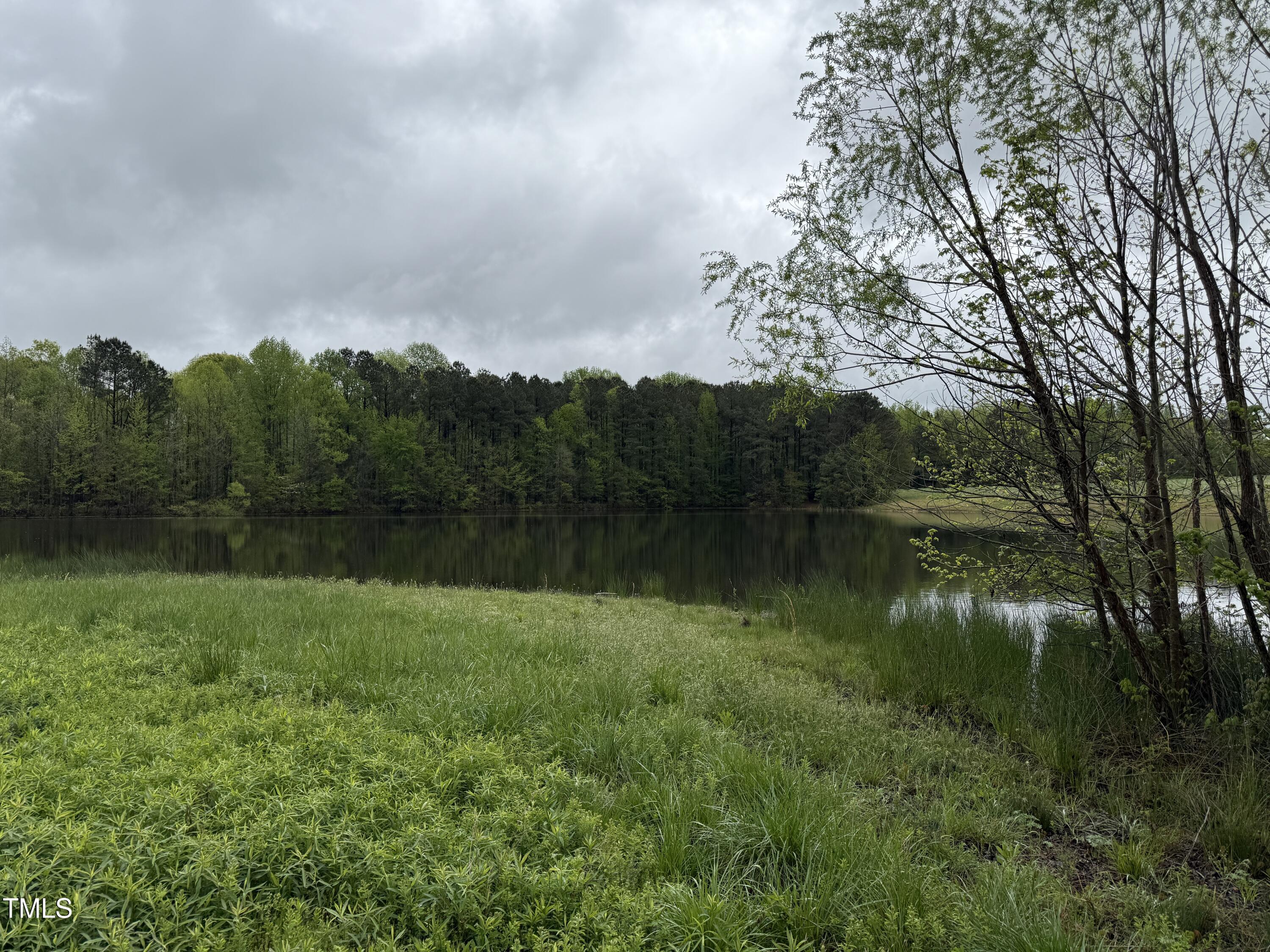 0 Stallings Mill Road Castalia, NC 27816 - Photo 13 of 19 a view of lake with green space