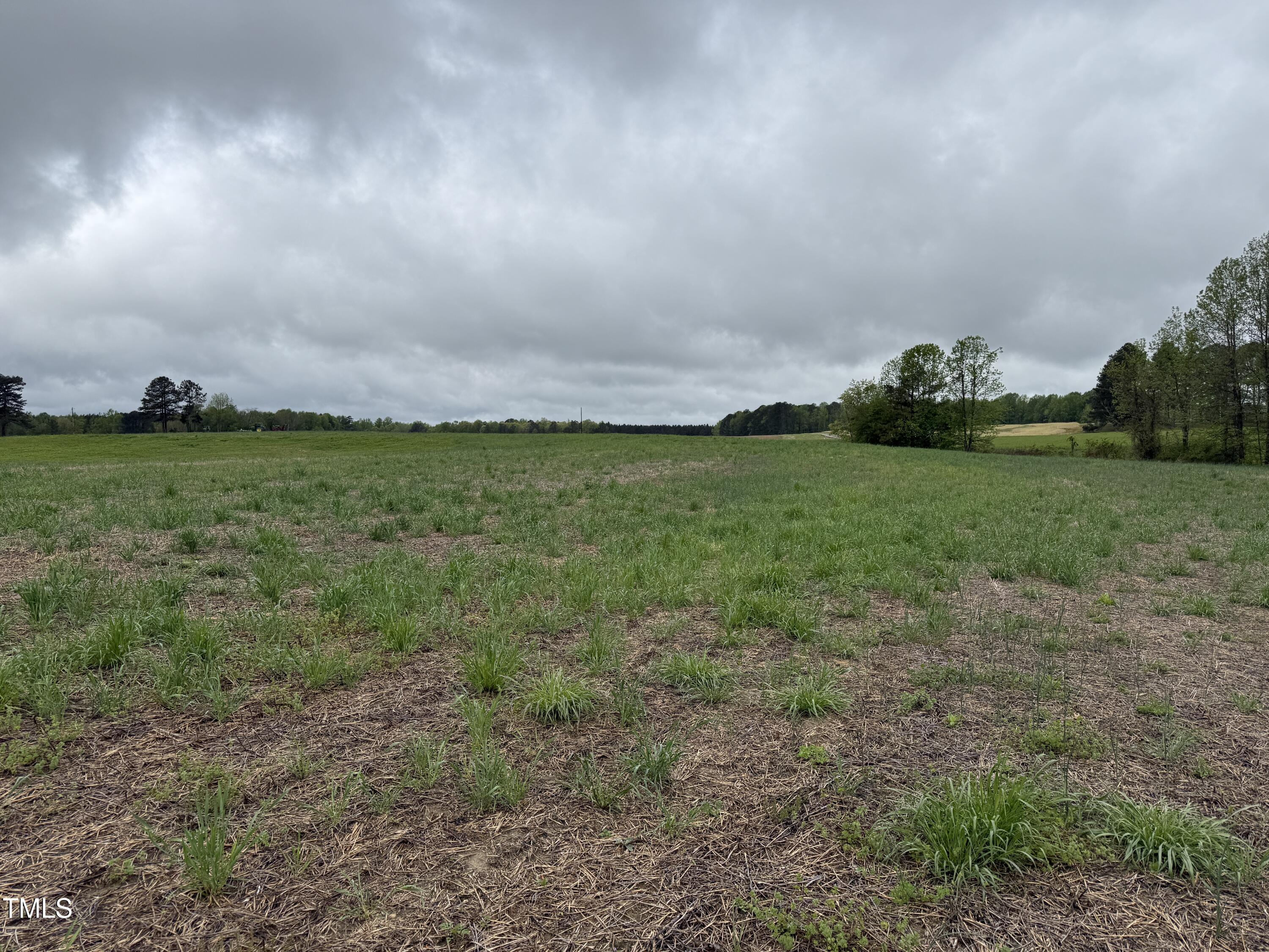 0 Stallings Mill Road Castalia, NC 27816 - Photo 14 of 19 a view of a big yard