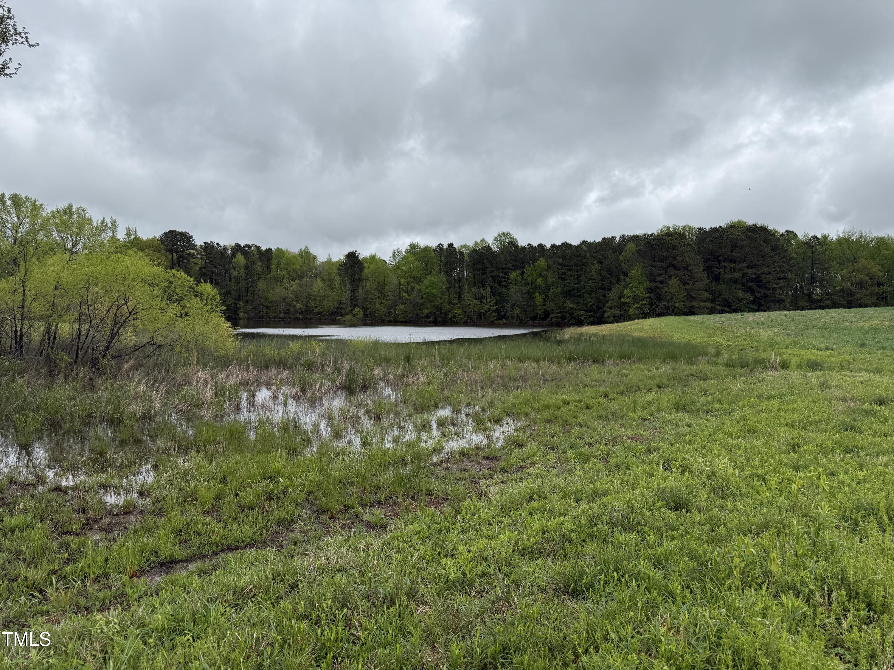 0 Stallings Mill Road Castalia, NC 27816 - Photo 15 of 19 a view of outdoor space and mountain view