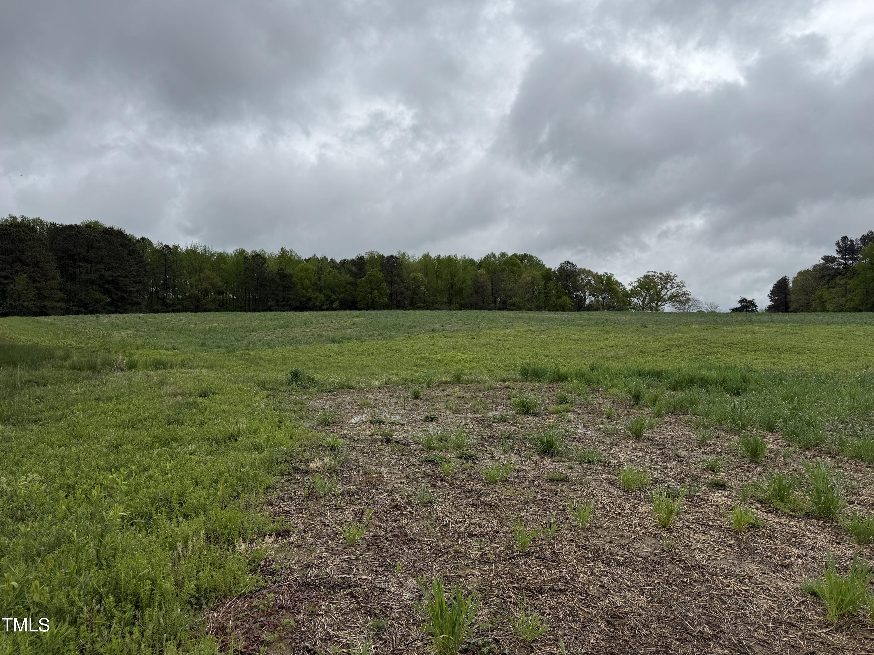 0 Stallings Mill Road Castalia, NC 27816 - Photo 16 of 19 a view of an outdoor space and a yard