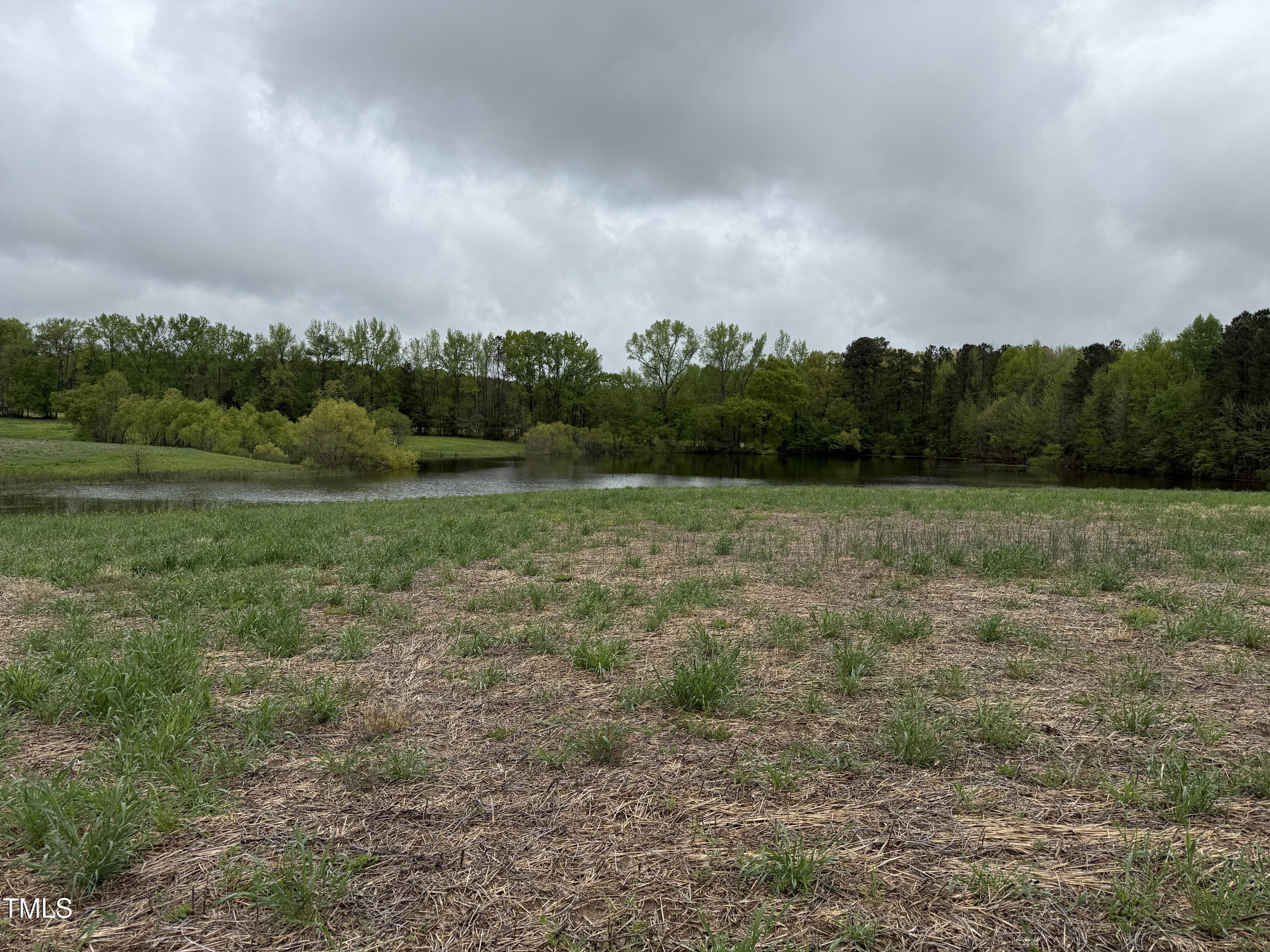 0 Stallings Mill Road Castalia, NC 27816 - Photo 17 of 19 a view of outdoor space with green field and trees all around