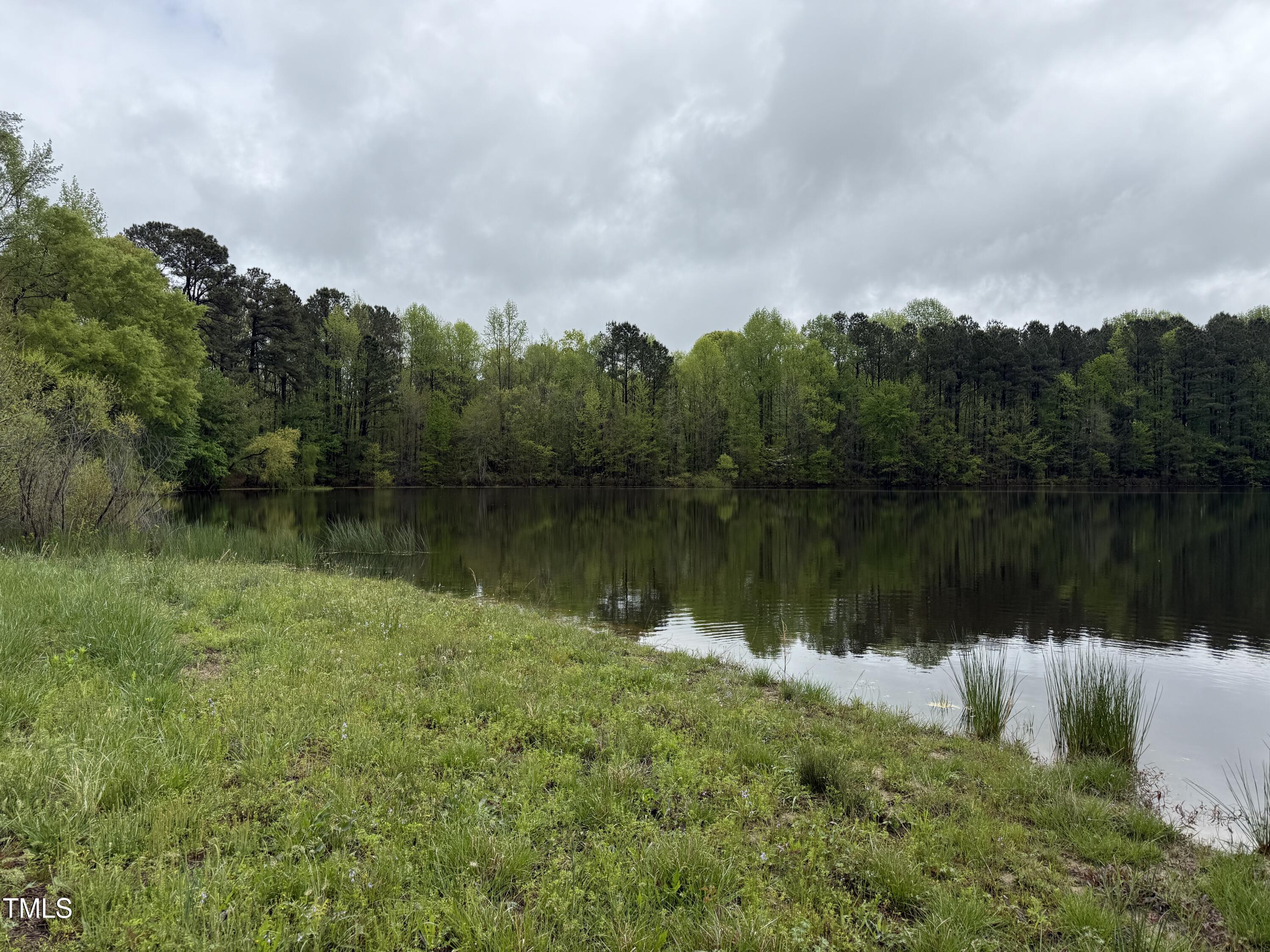 0 Stallings Mill Road Castalia, NC 27816 - Photo 2 of 19 a view of a lake