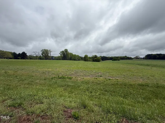 a view of a grassy field with trees in the background