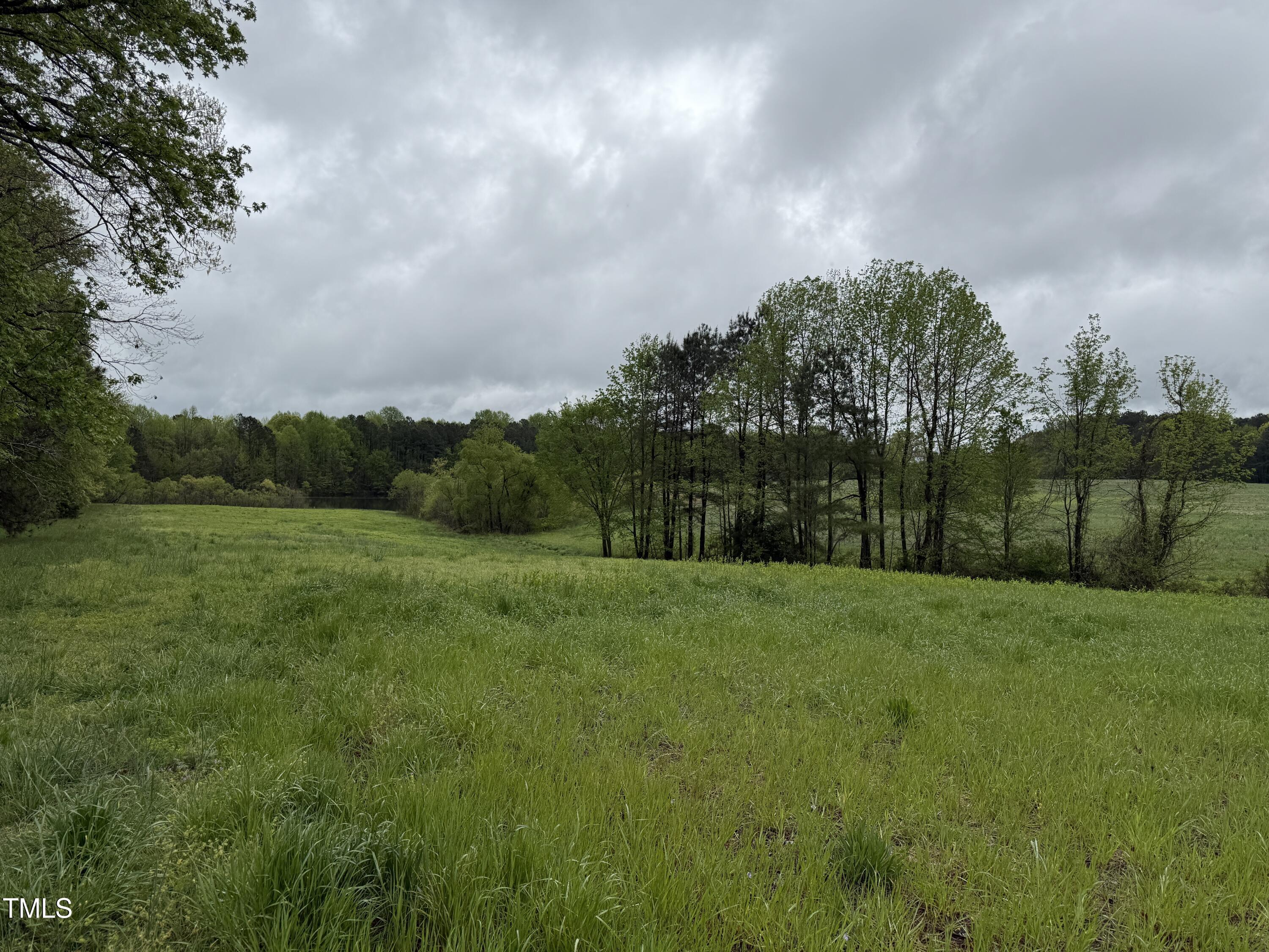 0 Stallings Mill Road Castalia, NC 27816 - Photo 9 of 19 a view of a grassy field with trees in the background