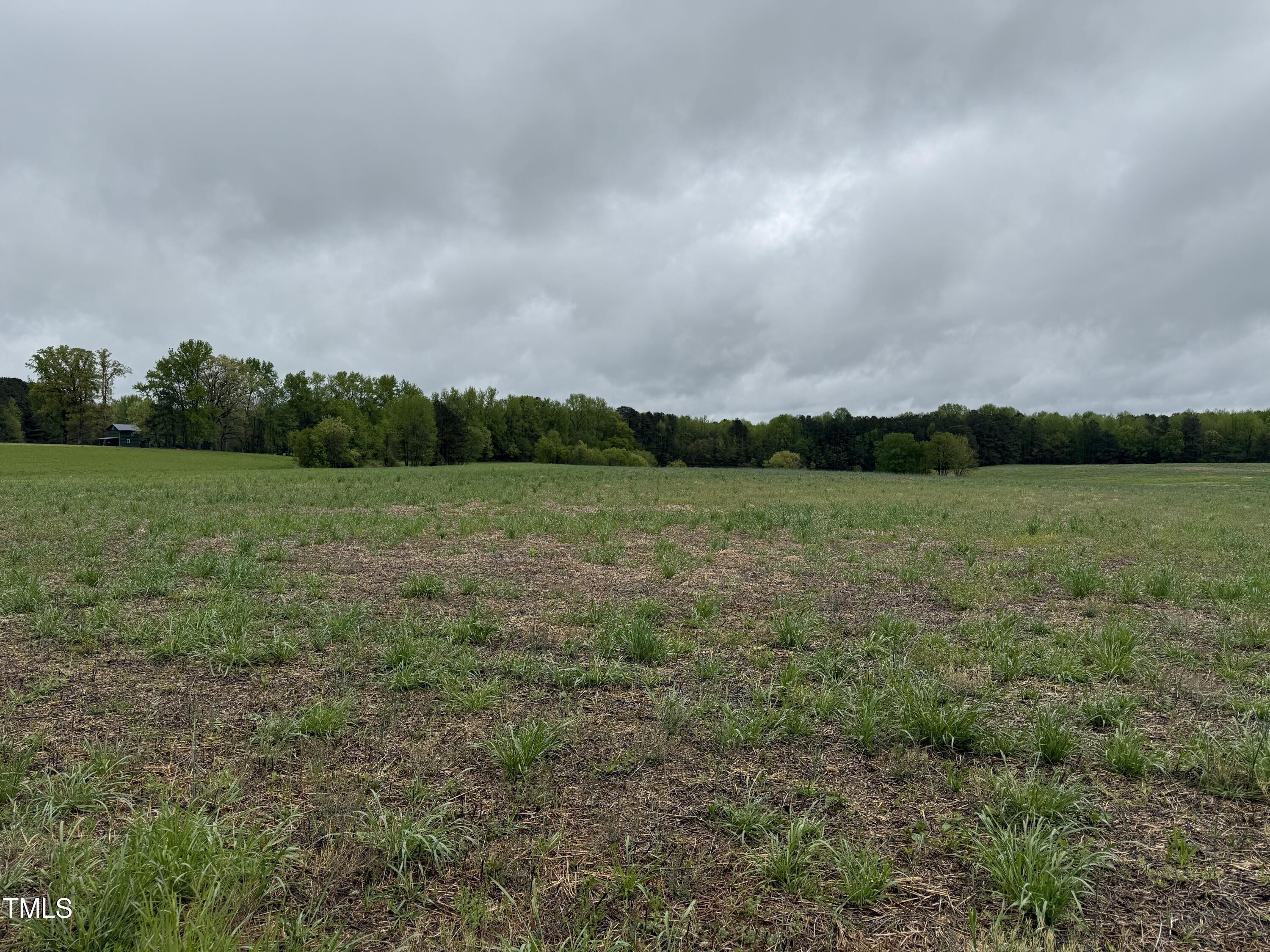 0 Stallings Mill Road Castalia, NC 27816 - Photo 10 of 19 a view of a field with an trees in the background