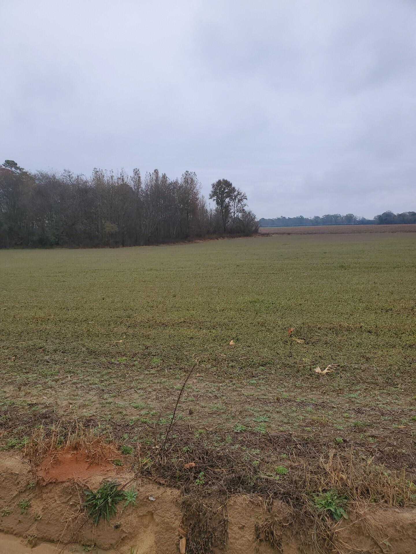 5555 Goshen Road Sumter, SC 29153 - Photo 4 of 4 thumbnail_20251208_120227