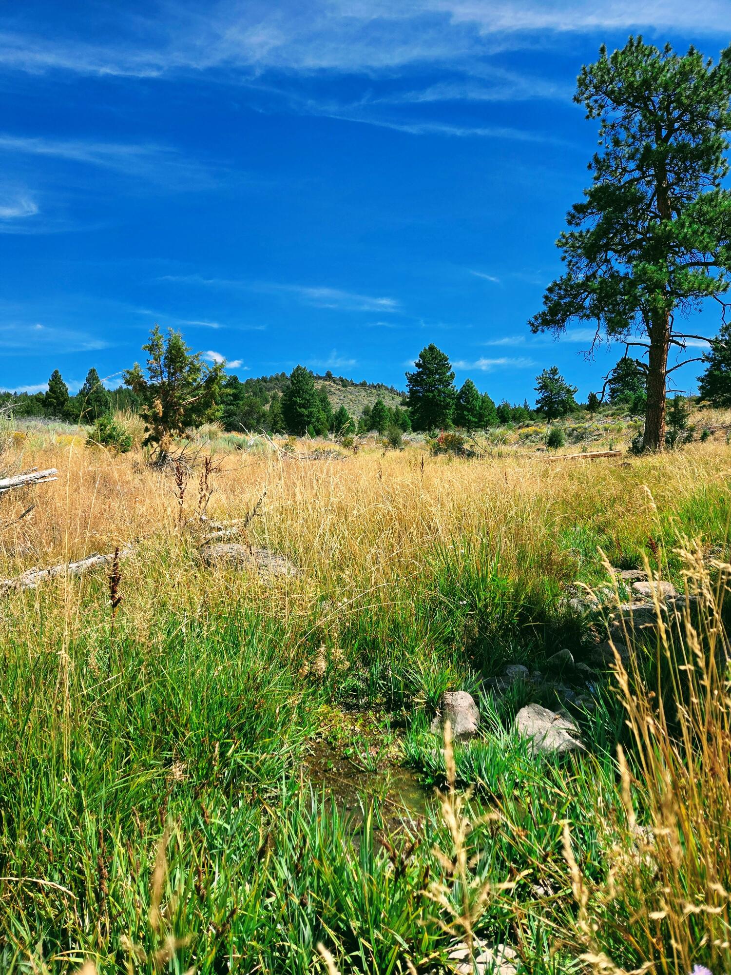 32500 Tackman Road Prineville, OR 97754 - Photo 60 of 112