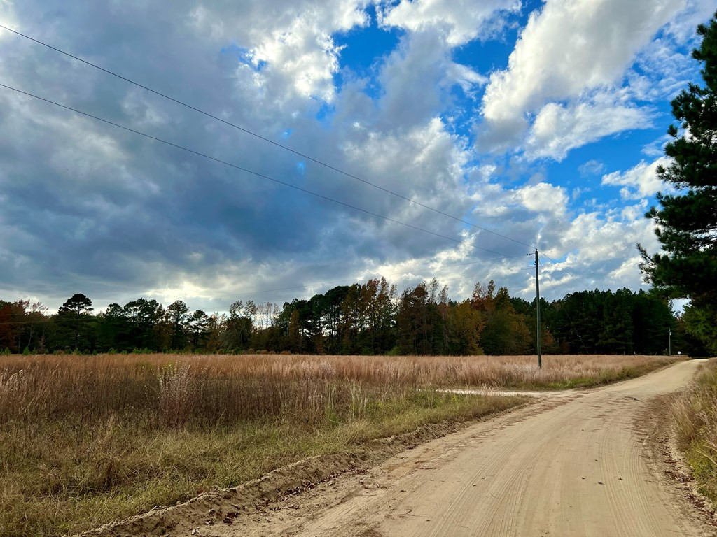 1565 Narrow Paved Road Lynchburg, SC 29080 - Photo 4 of 5 Gallery Image 4