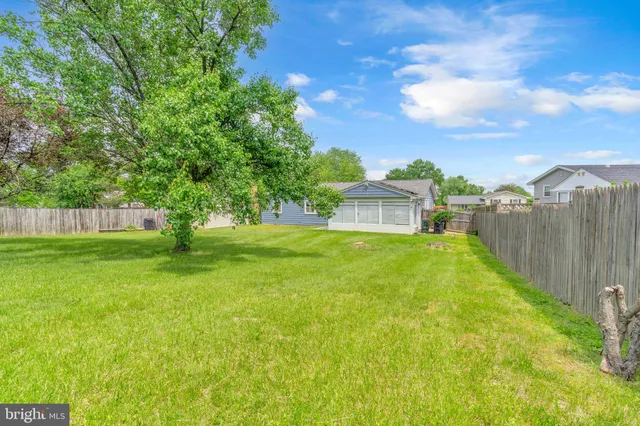 a view of a house with backyard and a tree