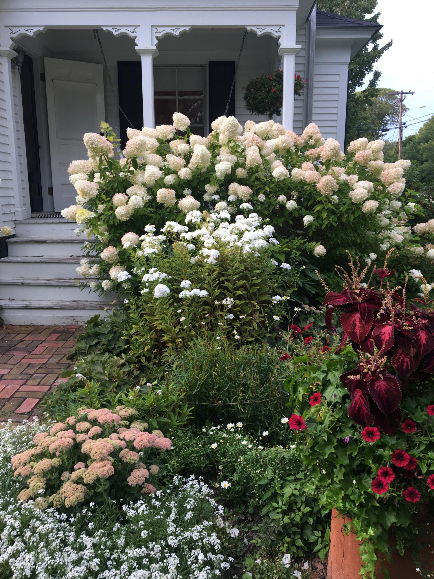 523 Pendleton Point Road Islesboro, ME 04848 - Photo 37 of 37 22_swing porch 3 and flower beds