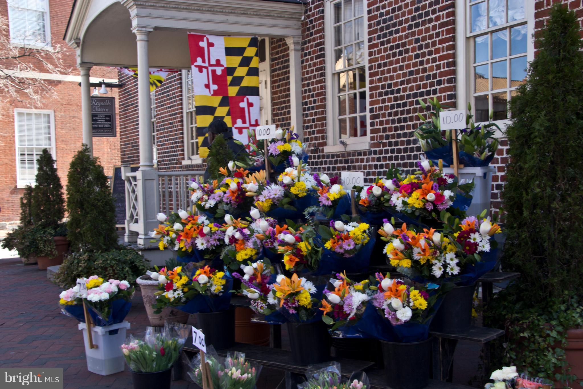 432 Ruth Road Arnold, MD 21012 - Photo 45 of 56 Gallery Image 45
