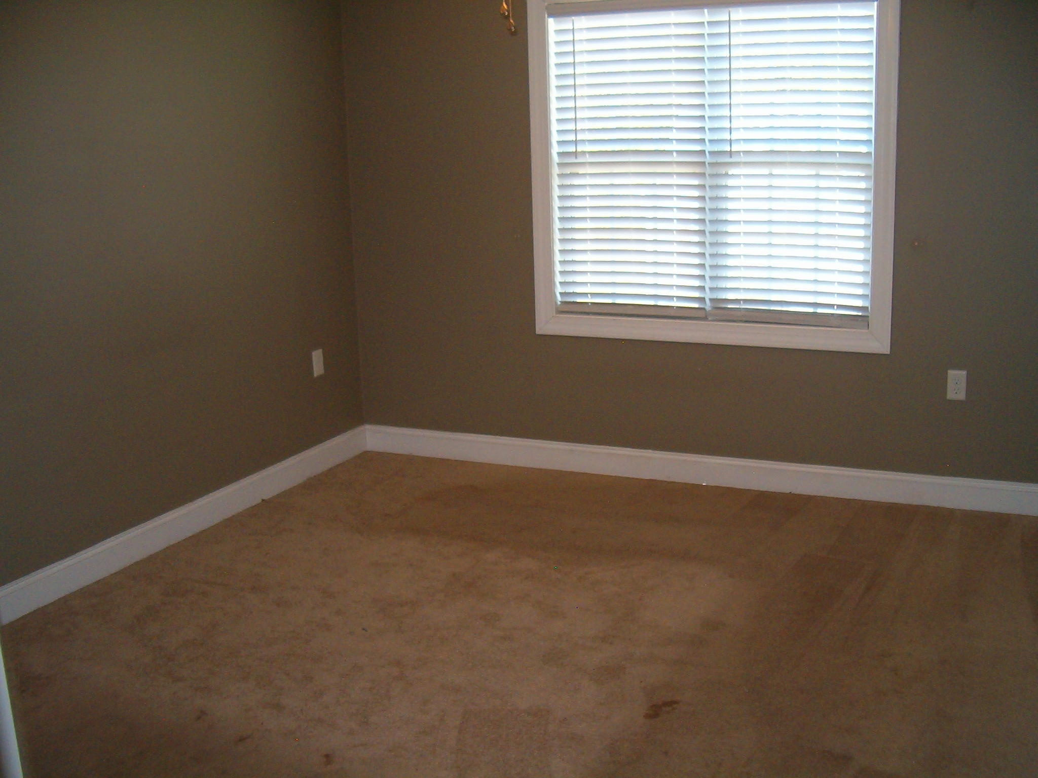 209 Oak Ridge Lane Holly Ridge, NC 28445 - Photo 13 of 21 Bedroom 1