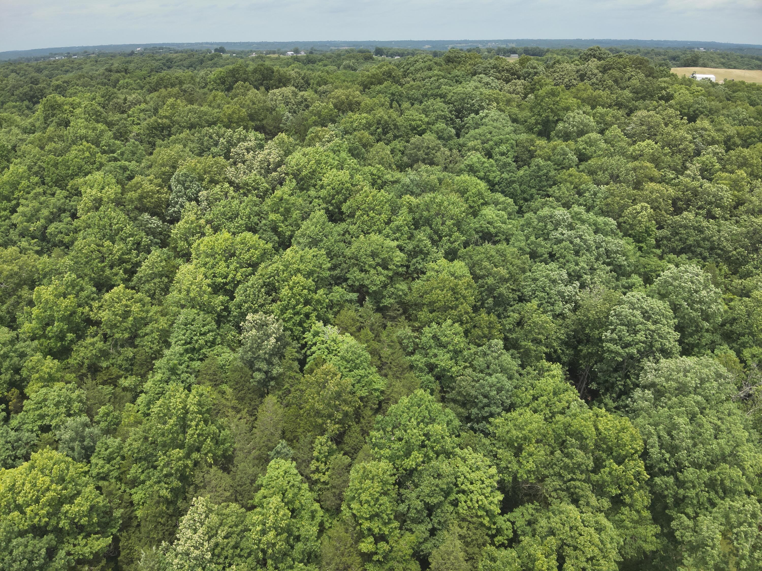0 Kelly Ridge Road Irvine, KY 40336 - Photo 22 of 39 DJI_20260625135419_0007_V