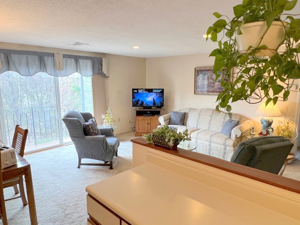 181 Littleton Road, Unit 209 Chelmsford, MA 01824 - Photo 9 of 22 Gallery Image 9
