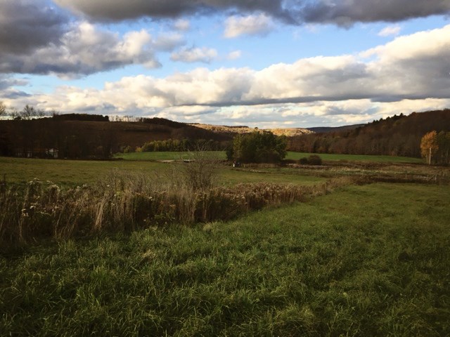 1300 Hamilton Road West Union, NY 14877 - Photo 1 of 1