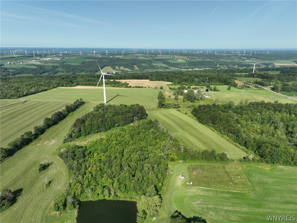 Thomas Road Varysburg, NY 14167 - Photo 11 of 21