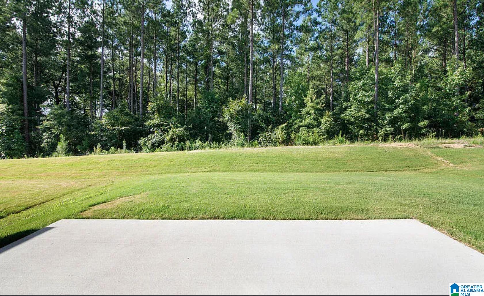 203 Chelsea Park Road Chelsea, AL 35043 - Photo 19 of 20