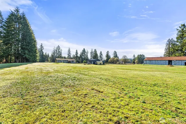 a view of a green field