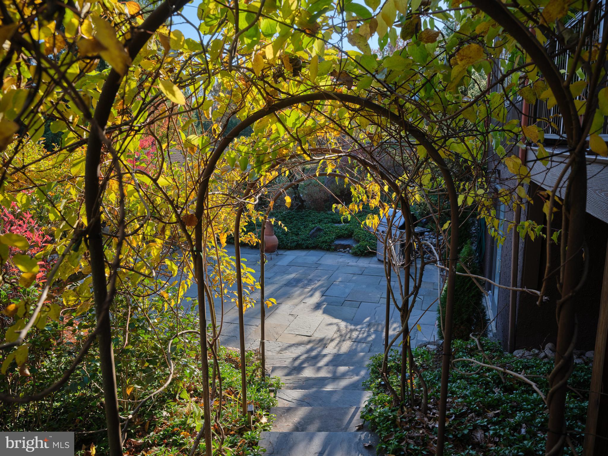 3054 Comfort Road New Hope, PA 18938 - Photo 48 of 64 a view of an outdoor space with a tree