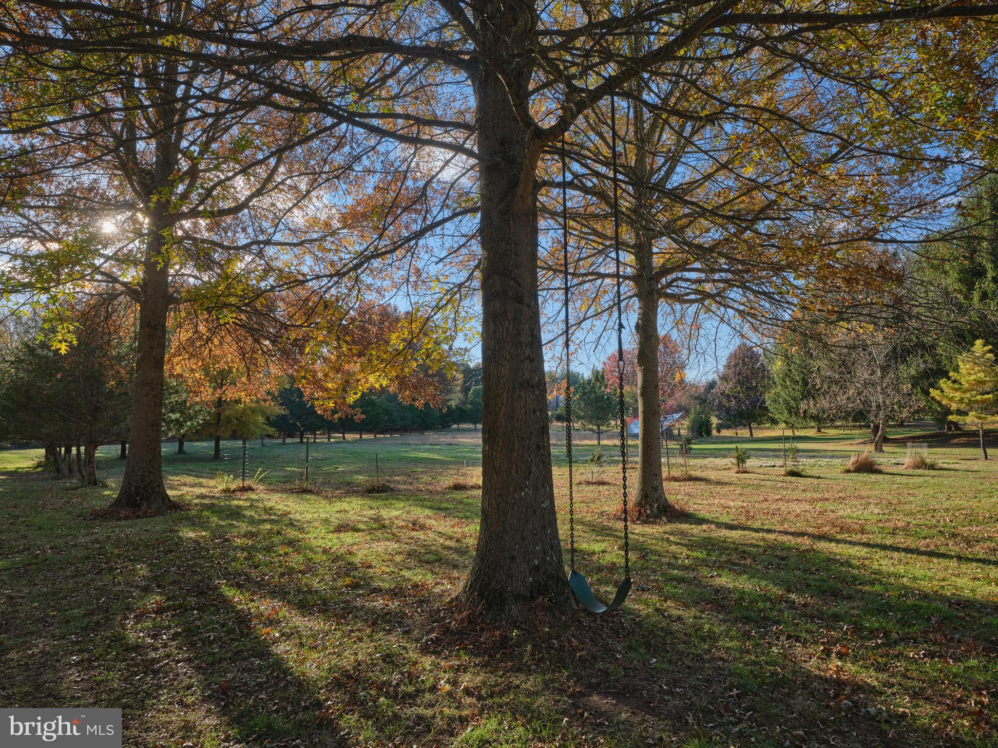3054 Comfort Road New Hope, PA 18938 - Photo 49 of 64 a view of a park