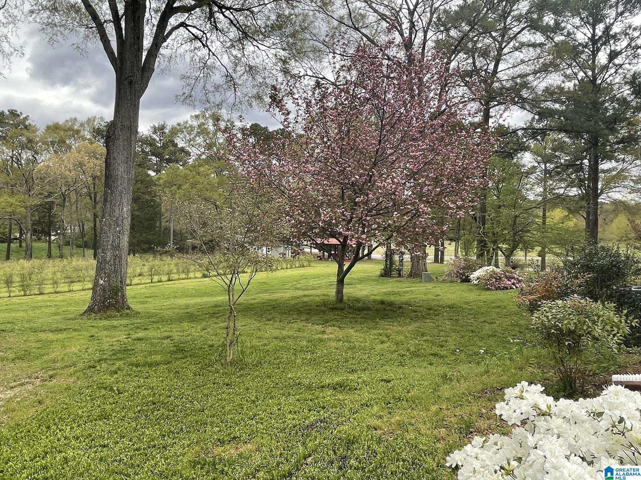940 Dry Valley Road Lincoln, AL 35096 - Photo 36 of 39