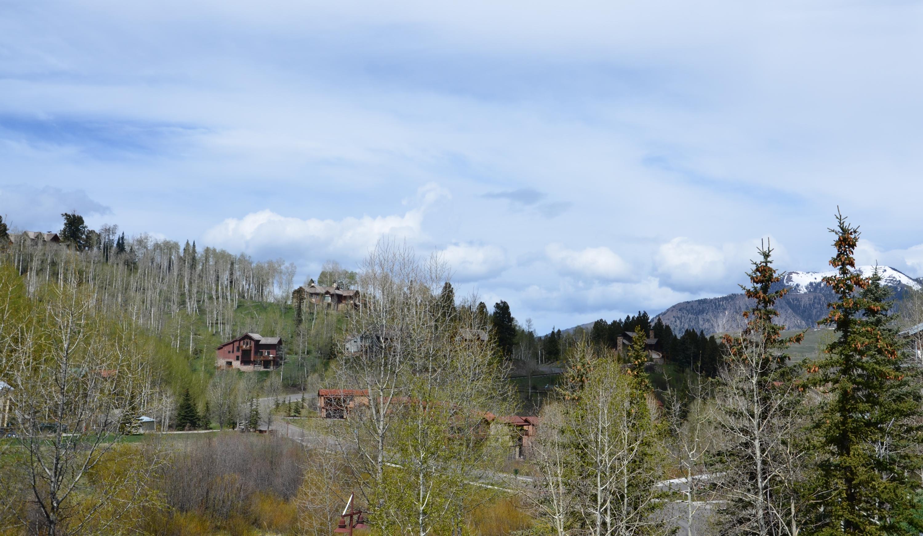 323 Adams Ranch Road, Unit 1A Mountain Village, CO 81435 - Photo 19 of 20 View